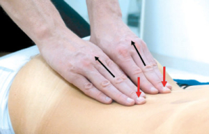 Preview: Videofilm Breuß-Massage Demonstrationsvideo - e-download Preview: Videofilm Breuß-Massage Demonstrationsvideo - e-download